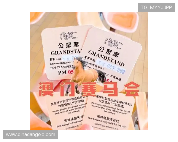 澳门赛马会幸运三肖三码助你轻松掌握投注技巧提升中奖几率的实用攻略